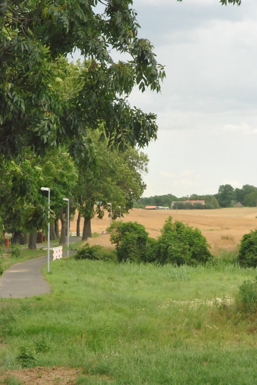 LESZNO. Jeziorki to idealne miejsce na rowerową wycieczkę, albo rodzinny spacer [ZDJĘCIA]