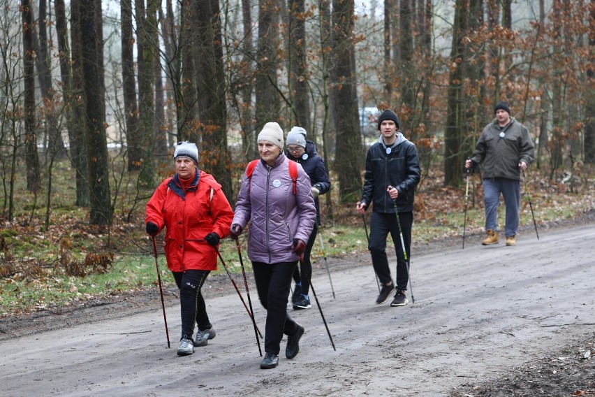 Zimowy rajd Nordic Walking obornickich Włóczykijów [ZDJĘCIA]