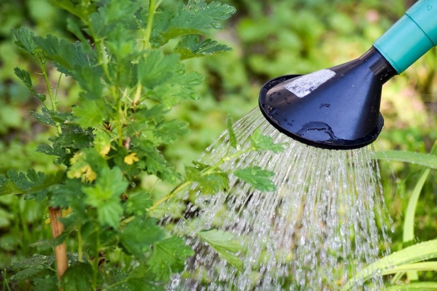 4 lipca wydano nowe ostrzeżenia przed suszą hydrologiczną....