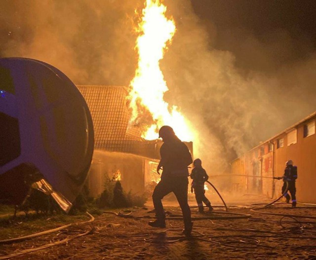 Ponad 6 godzin zajęło strażakom ugaszenie pożaru stadniny w Wypaleniskach