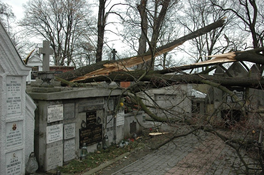Cmentarz Miejski w Kaliszu. Przewalone drzewo uszkodziło...