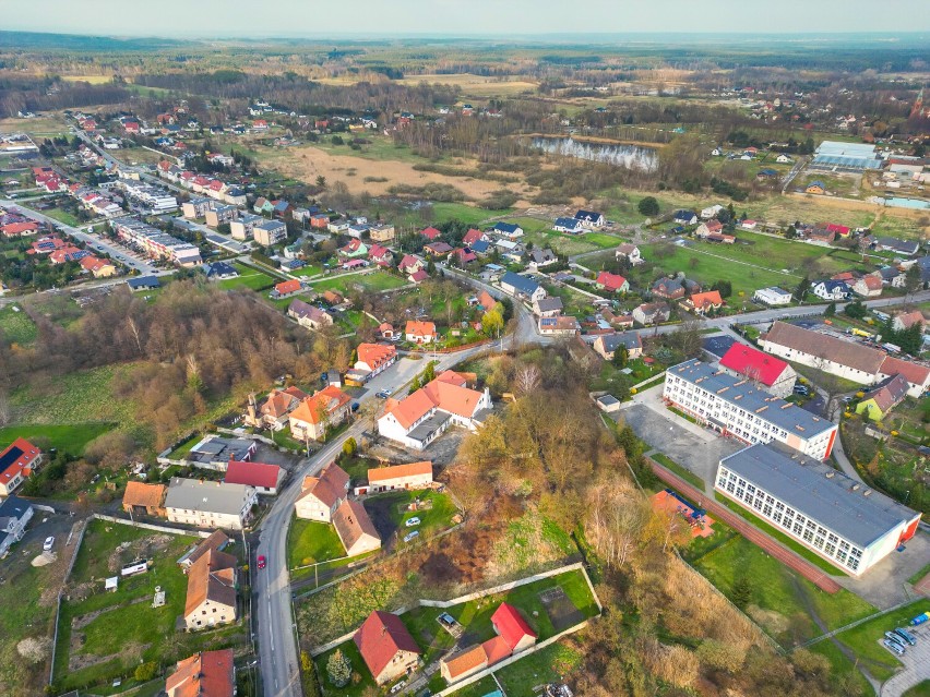 Kunice na niezwykłych zdjęciach z drona