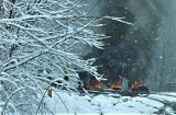 Pożar opon i śmieci w Koszarach. Strażacy pojechali na miejsce walczyć z ogniem. Kłęby czarnego dymu widać z daleka 