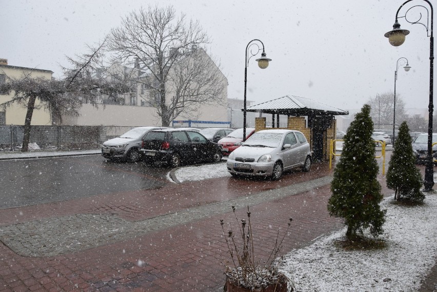 Śnieżyca w Suwałkach. Uwaga kierowcy, ślisko na drogach [ZDJĘCIA]