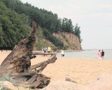 Gdynia: Klif w Orłowie i plaża w Babich Dołach i Oksywiu bez inwestycji. Natura 2000 zagrożeniem