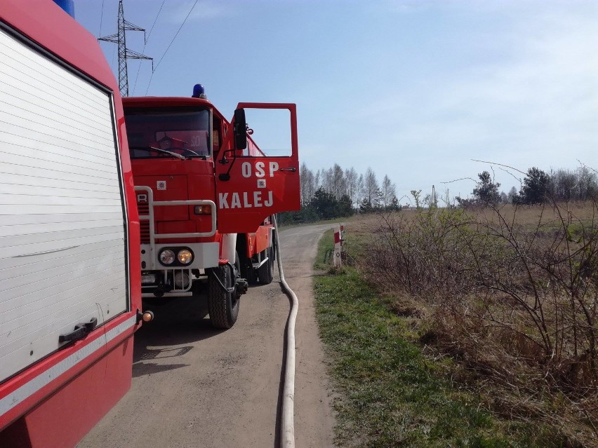 Pożar traw w Kłobucku. Interweniowały OSP z całego powiatu ZDJĘCIA