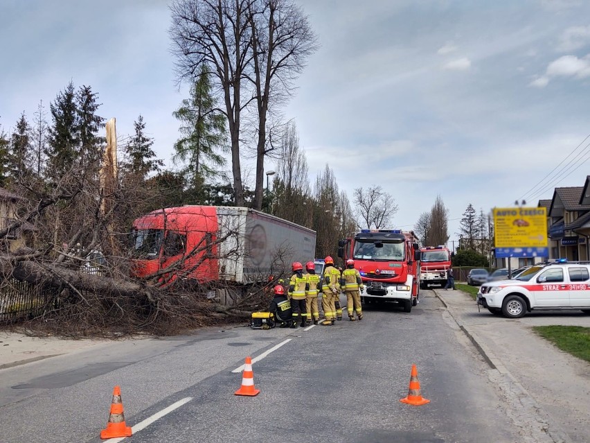 Nowy Sącz wypadek. Na ul. Nawojowskiej kierowca ciężarówki zjechał z drogi i uderzył w drzewo