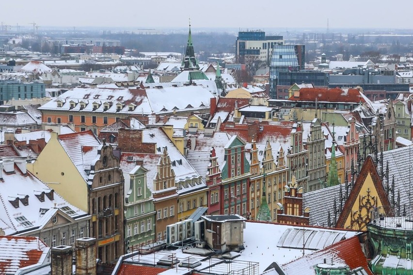 Poznaj 15 najlepszych atrakcji Wrocławia, które warto...