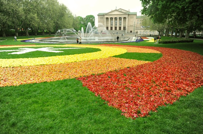 Dywany z kwiatów powstały w parku przy operze