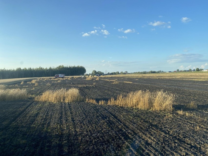 Gmina Duszniki. Tym razem zboże płonęło przy autostradzie A2 w Sędzinku [ZDJĘCIA]