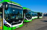 TOP 10 najczęściej spóźniających się autobusów miejskich w Białymstoku według mieszkańców!