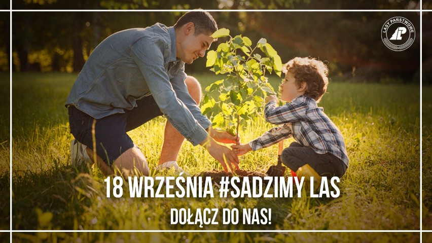 Odbierz darmowe drzewko z najbliższego nadleśnictwa! Ogólnopolska akcja SadziMY 