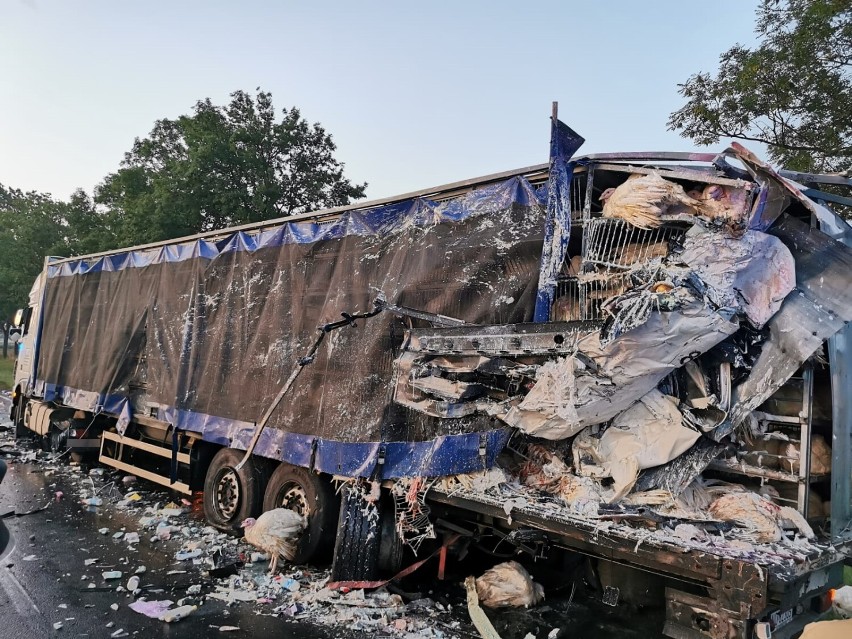 Gm. Miłoradz. Wypadek na drodze krajowej nr 22. W Gnojewie zderzyły się ciężarówki, jedna przewoziła żywe indyki