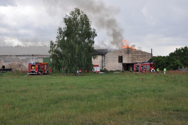 Pożar budynku gospodarczego w Niesłabinie. Na miejscu straż pożarna