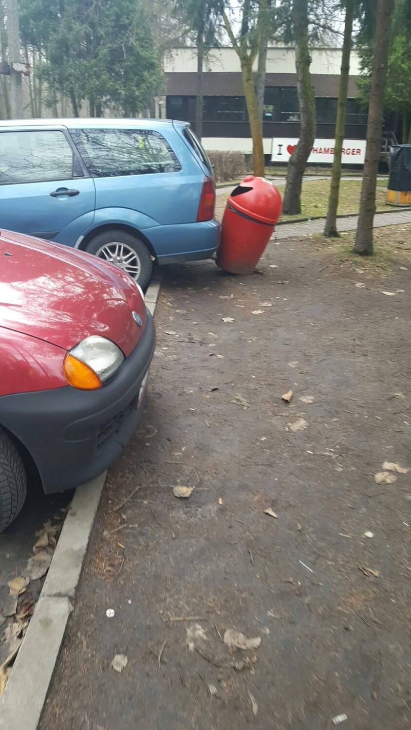 Mistrzowie (złego) parkowania