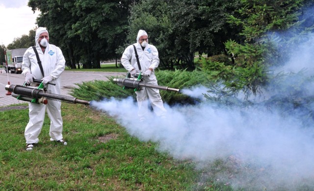 Niektóre miasta z góry planują opryski miejskich parków i skwerów, inne czekają na sygnały od mieszkańców.