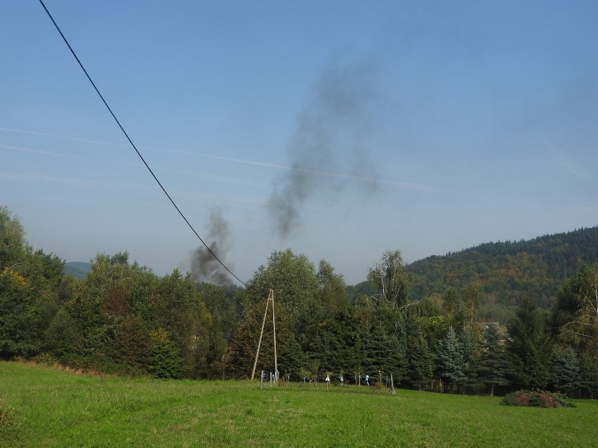 Zaraz za drzewami jest zakład meblarski, który, zdaniem...