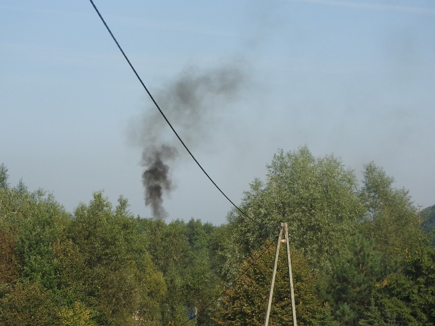 Zaraz za drzewami jest zakład meblarski, który, zdaniem...