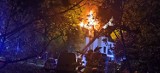 Nocny pożar w Głogowie. Płonął zabytkowy pałacyk przy Zielonym Rynku. Straty są spore. Zdjęcia