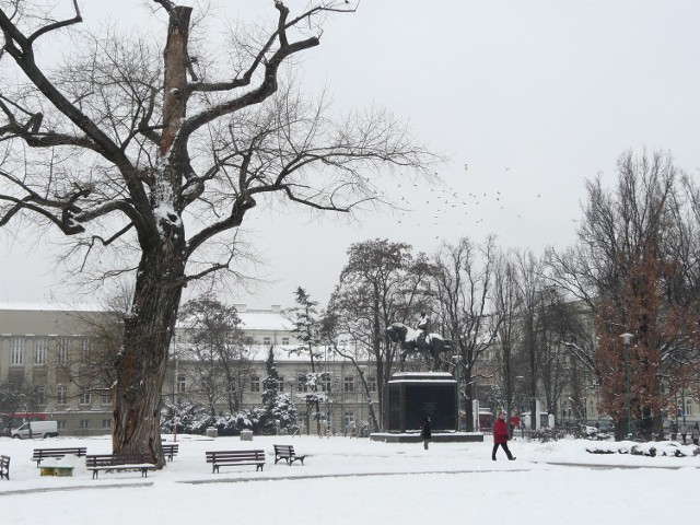 Plac Litewski w białej szacie