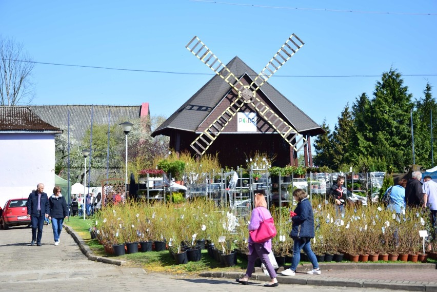 Wiosenne Targi Ogrodnicze w Starym Polu odbyły się po raz dziewiąty [ZDJĘCIA]