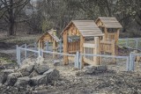 W Katowicach powstaje nowy park - W Dolinie Rzeki Ślepiotki! Zobacz zdjęcia z tej oczekiwanej przez mieszkańców inwestycji