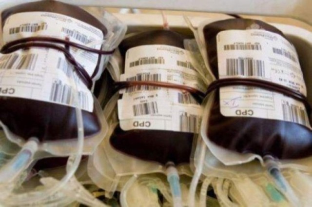Akcja poboru krwi w Kole