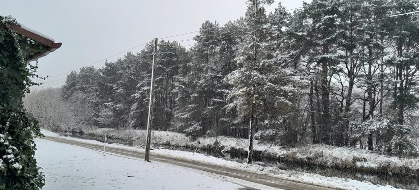 Śnieg okrył powiat wejherowski. Zobaczcie piękne zdjęcia naszych czytelników | FOTO