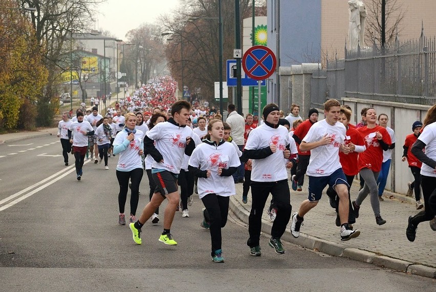 Lubliniec: Bieg Niepodległości 2013