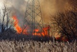 Pożary traw i lasów w powiecie radomszczańskim. Znów podpalenia