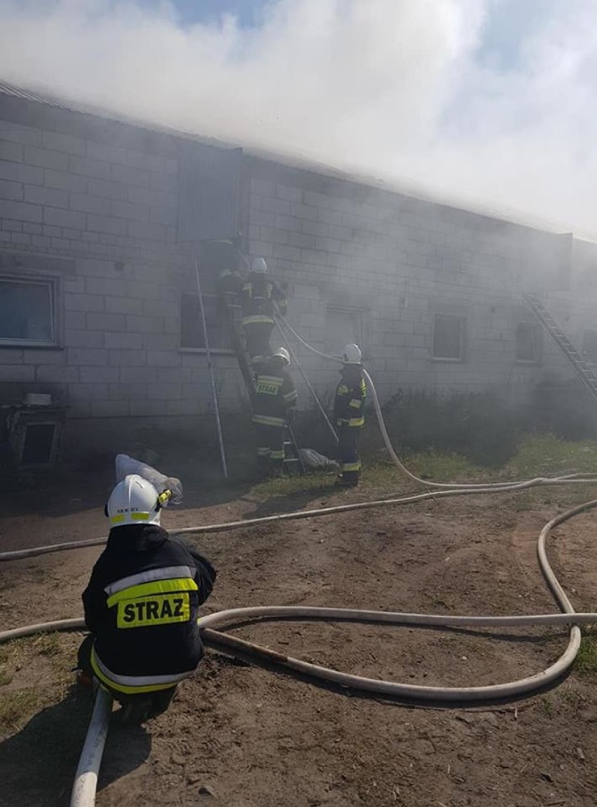 Z pożarem budynku gospodarczego walczyli także strażacy z powiatu wągrowieckiego