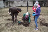 Powiat bełchatowski: Posadzili drzewa na powitanie wiosny