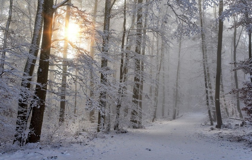 W grudniu rozpoczyna się zima: astronomiczna, kalendarzowa i...