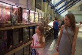 Egzotyka na targach terrarystycznych Exoticarium Rzeszów. Wystawcy zaprezentowali węże, pająki, gekony i żółwie!