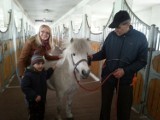 SOSW w Kole: Uczniowie w stadninie koni w Powierciu
