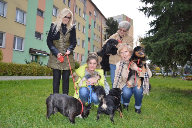 Beata Zygadło (druga z lewej) wyszła z inicjatywą zbierania podpisów pod petycją do prezydenta o utworzeniu w Nowym Sączu schroniska dla psów. Poparło ją już ponad dwa tysiące mieszkańców