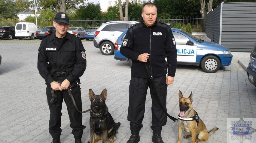 Linda i Kazan to nowi funkcjonariusze w policji w Aleksandrowie Kujawskim [zdjęcia]