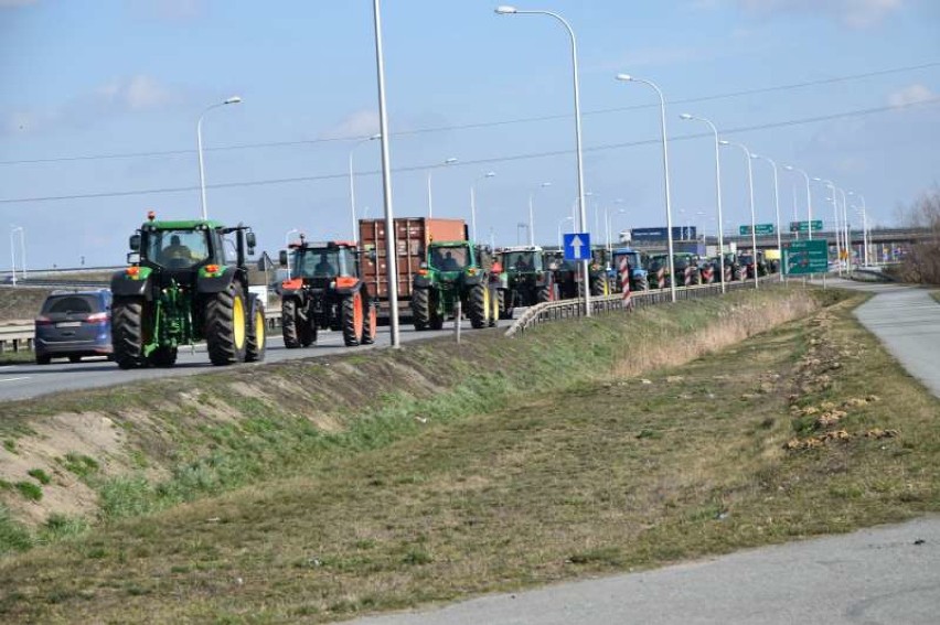 Trwa protest rolników. Droga Skalmierzyce  - Ostrów Wielkopolski zablokowana  [ZDJĘCIA + FILM]