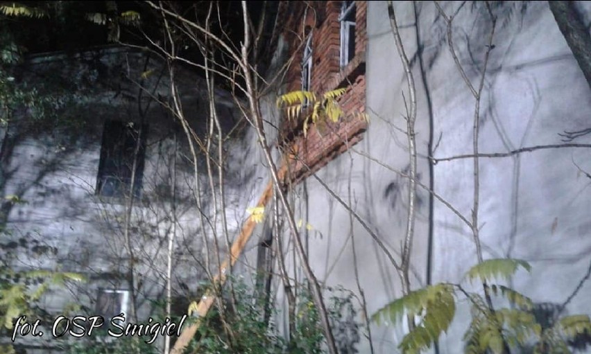 Ktoś kolejny raz podpala w Wydorowie? Strażacy gasili pożar na granicy dwóch powiatów [ZDJĘCIA]