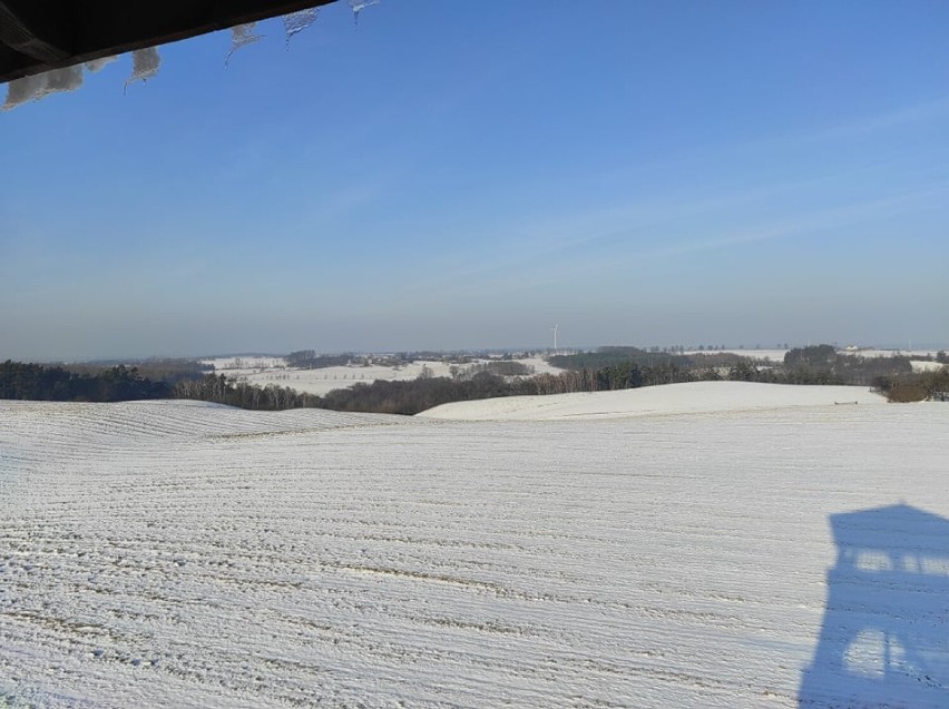 Powiat gnieźnieński. Wieża widokowa w Dusznie. Zobacz zimowe krajobrazy Pojezierza Gnieźnieńskiego [FOTO]