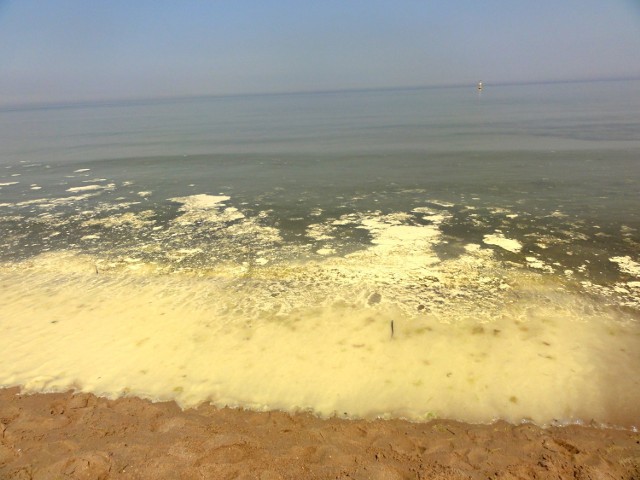 Sopot - żółta woda w morzu