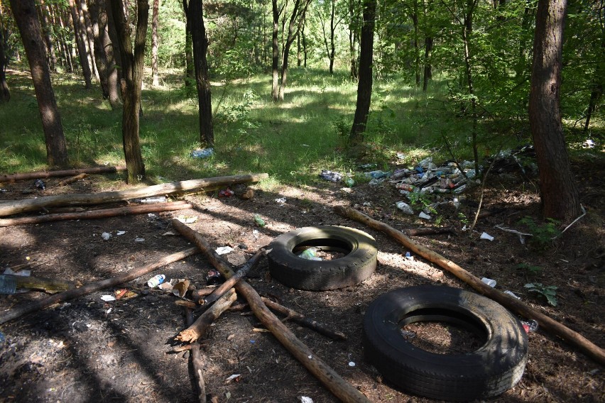 Śmieci na terenach zielonych przy torach w Olkuszu