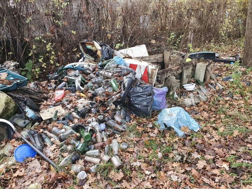 Śmieci w Lasku Północnym w Słupsku wciąż nieposprzątane [ZDJĘCIA]