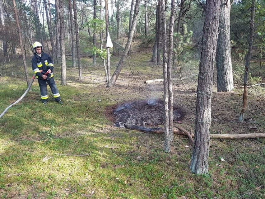 Akcja gaszenia ogniska w lesie w Helu 14.09.2019