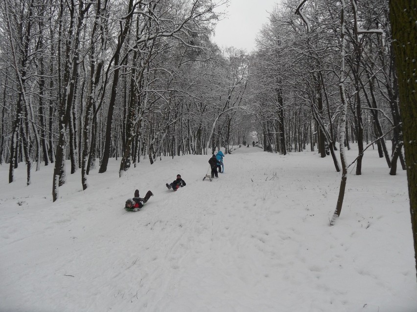 Radzionków: Na Księżą Górę ściągnęli miłośnicy zimowej rekreacji [ZDJĘCIA]