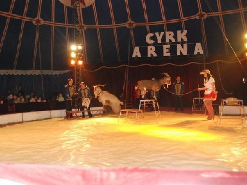 Cyrk Arena pod dyrekcją Mirosława Złotorowicza wystąpi w Białymstoku