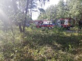 Groźny wypadek w lesie koło Bukowna. Jedna osoba ciężko ranna