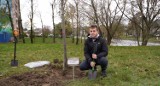 Drzewa Młodych Płocczan. Zasadzono 4 lipy na upamiętnienie narodzin nowych mieszkańców miasta