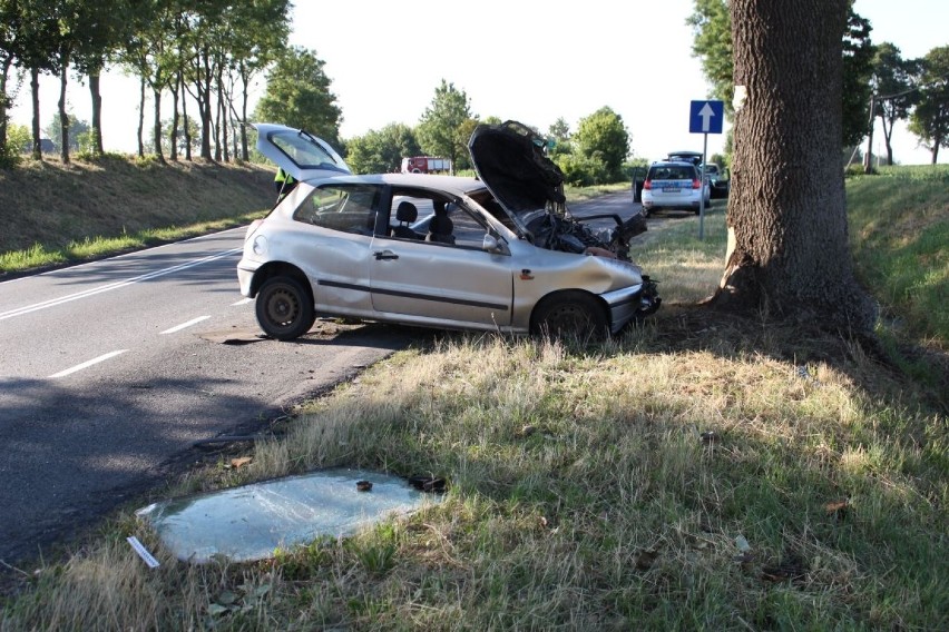 W Chełmiczkach pod Kruszwicą doszło do śmiertelnego wypadku [zdjęcia]