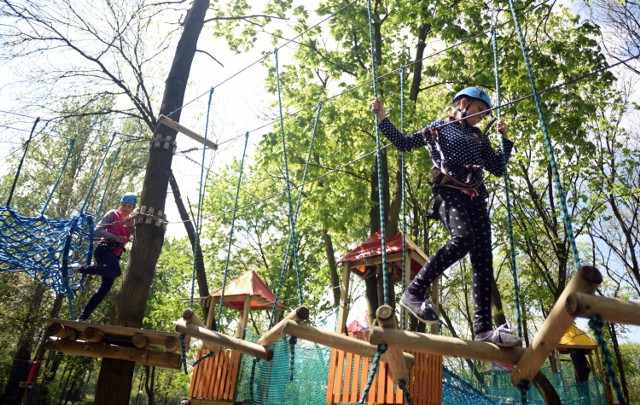 Adrenalina, wyzwanie, sztuka pokonywania własnych słabości i przygoda. To wszystko przeżyjecie podczas wizyty w parku linowym. Większość obiektów ma specjalne trasy dla dzieci i osobne dla dorosłych, tak aby każdy dobrał stopień trudności odpowiedni do swoich umiejętności.

Sprawdźcie:
Park linowy na ul. Wybrzeże Helskie 1/5, Park linowy Bielany (300 metrów od pętli autobusowej na Gwiaździstej), Park Linowy High-Position na ul. Obrońców Tobruku 11, Park linowy Tarzanek na terenie Ursynowa w Parku Przy Bażantarni